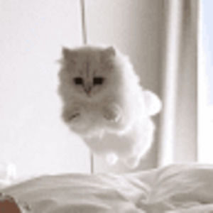 Meet your Posher, Ariella